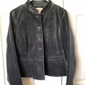 Loft Gray velvet-feel jacket